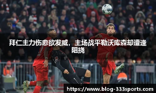 333体育官网