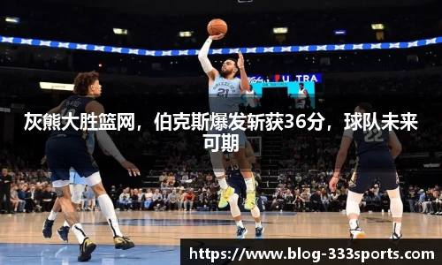333体育官网